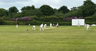 Image result for Hadlow Cricket Club