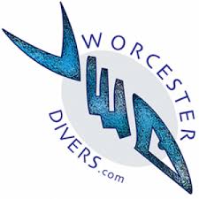 Image result for Worcester Divers Octopush Club