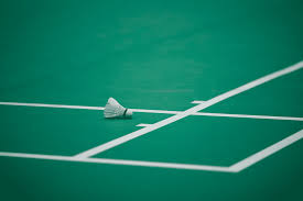 Image result for Beaufort Badminton Club