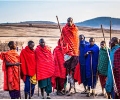 Image result for Nomads