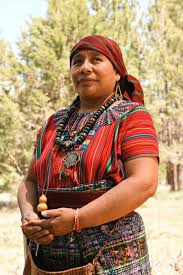 Attēlu rezultāti vaicājumam “Pandemis cinnamomeana female”