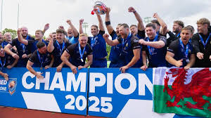 Image result for Celtic Crusaders