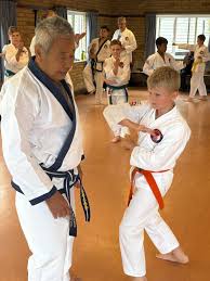 Image result for Tang Sou Dao Ren Yi Wu Kwan - Huntingdon