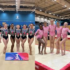 Image result for Notts Bigwood Gymnastics Club