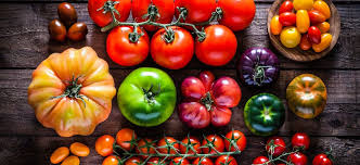 Image result for Tomate