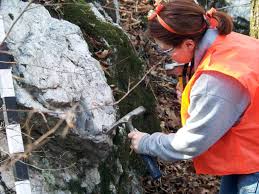 Image result for SEM micrographs of Novaculite Arkansas