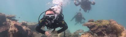 Image result for Exe To Sea Diving