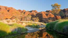 Image result for 國奴