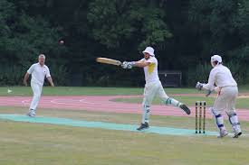Image result for Flamingo Cricket Club