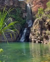 Image result for Litchfield Saracens