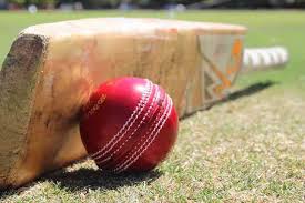 Image result for Battle Cricket Club