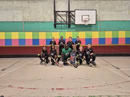 Image result for Manchester Roller Hockey Club