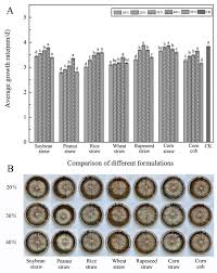 Attēlu rezultāti vaicājumam “Fuligo gyrosa macro”