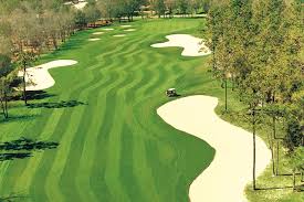 Image result for Lockwood Social Club