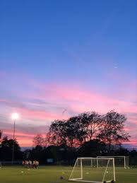 Image result for Leatherhead Football Club