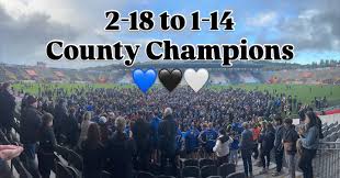 Image result for Sarsfields Hurling Club