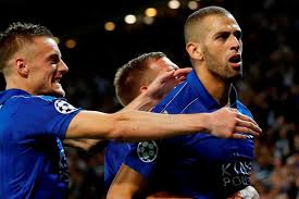 Image result for leicester dragons