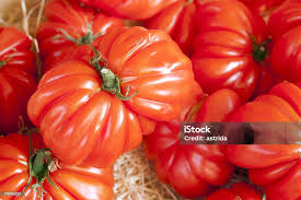 Afbeeldingsresultaat voor butter and bull heart tomato