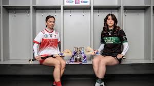 Image result for Ceann Creige Hurling and Camogie Club