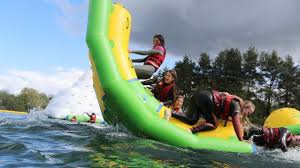 Image result for New Forest/Waterside