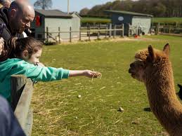 Image result for Woking Phab