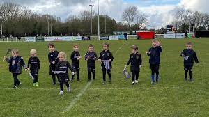 Image result for Rochford Hundred Rugby Club
