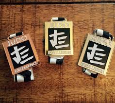 Image result for Judo Excellence