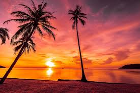 Image result for sunset