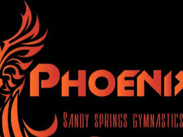 Image result for Phoenix Gymnastics