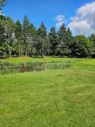 Image result for Wilden Village Cricket Club