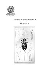 Attēlu rezultāti vaicājumam “Hoplia parvula imago”