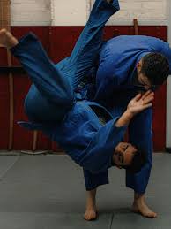 Image result for Martial Arts London