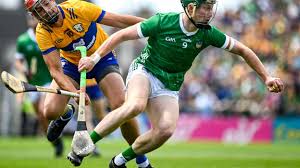 Image result for University Of Limerick Gaa Hurling Club