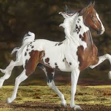Image result for White Horse Model Club