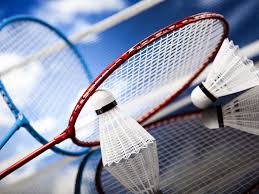 Image result for Appledore Badminton Club