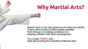 Image result for Midlands PKA Kickboxing