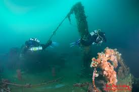 Image result for Islington Divers 333