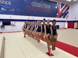 Image result for North East London Gymnastics Club