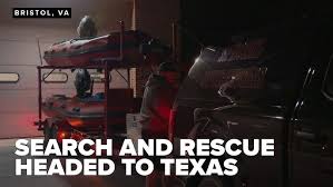 Image result for Bristol Swifts