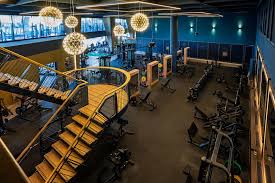Image result for David Lloyd Clubs