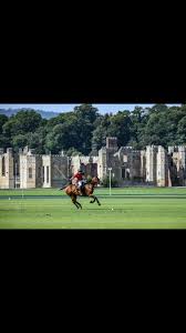 Image result for Cowdray Park Polo Club