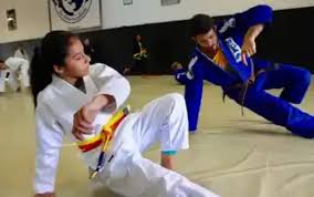Image result for Weston Academy Of Martial Arts