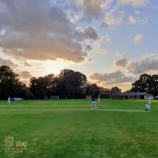 Image result for Chertsey Cricket Club
