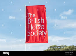 Image result for British Horse Society