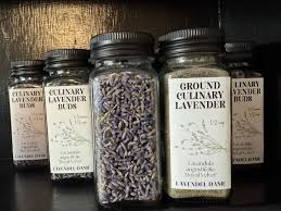 Attēlu rezultāti vaicājumam “Lavandula angustifolia bud”