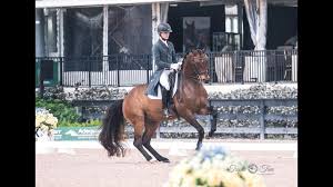 Image result for Interfreestyle Sport Karate