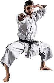 Image result for GoJu-Kai Karate Club