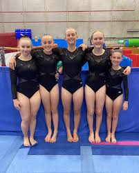 Image result for Zodiac Gymnastics Club