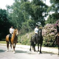 Image result for Weybridge Equestrian Centre