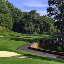 Image result for DUNTON GREEN CLUB